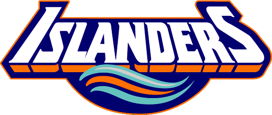 New York Islanders 1995-1998 Wordmark Logo iron on transfers for T-shirts